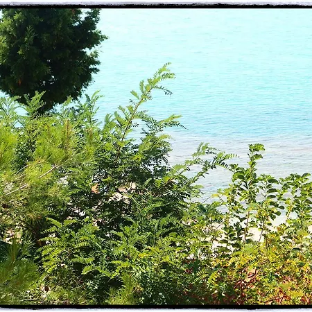 아파트 Thanasis *